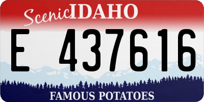 ID license plate E437616