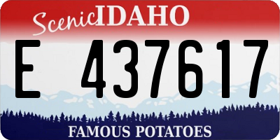 ID license plate E437617
