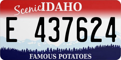ID license plate E437624