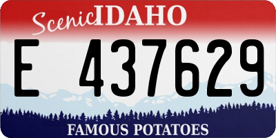 ID license plate E437629