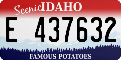 ID license plate E437632