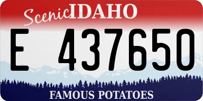 ID license plate E437650
