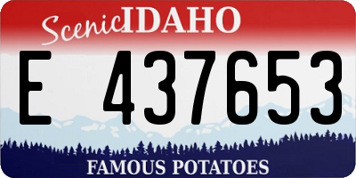 ID license plate E437653