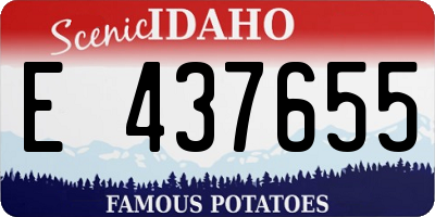 ID license plate E437655