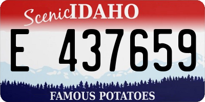 ID license plate E437659