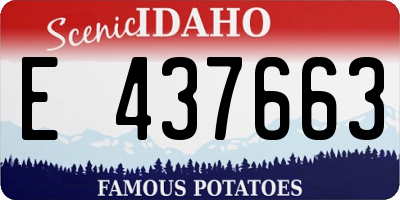 ID license plate E437663