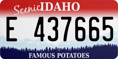 ID license plate E437665