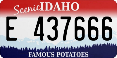 ID license plate E437666