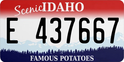 ID license plate E437667