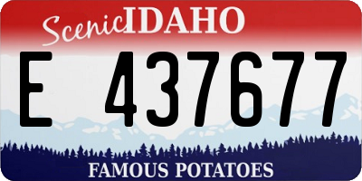 ID license plate E437677