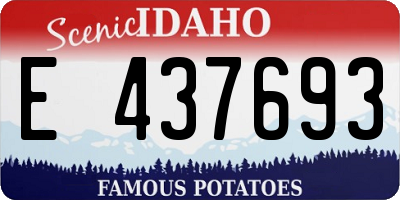 ID license plate E437693
