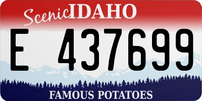 ID license plate E437699