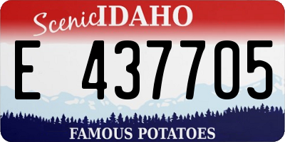 ID license plate E437705