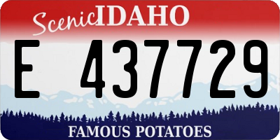 ID license plate E437729