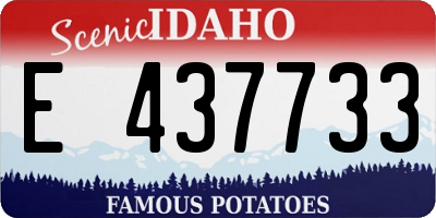 ID license plate E437733