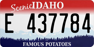 ID license plate E437784