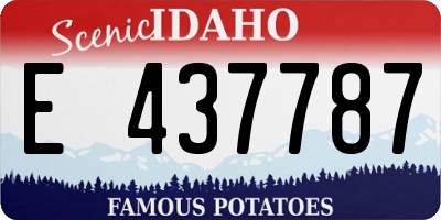 ID license plate E437787