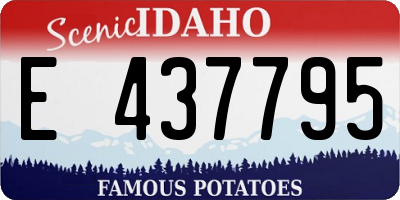 ID license plate E437795