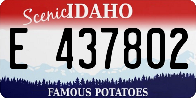ID license plate E437802