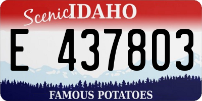 ID license plate E437803
