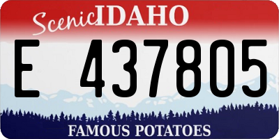 ID license plate E437805