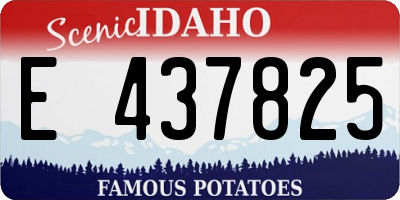 ID license plate E437825