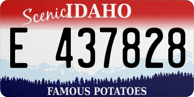 ID license plate E437828