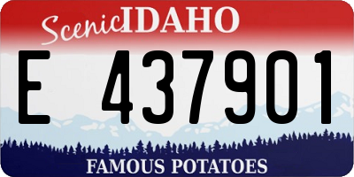 ID license plate E437901