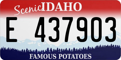 ID license plate E437903