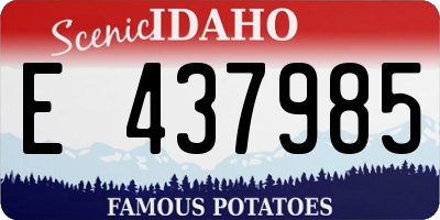 ID license plate E437985