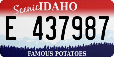 ID license plate E437987
