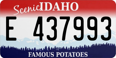 ID license plate E437993