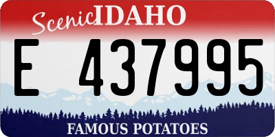 ID license plate E437995