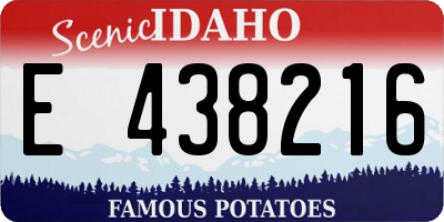 ID license plate E438216