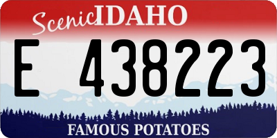 ID license plate E438223