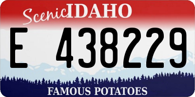 ID license plate E438229
