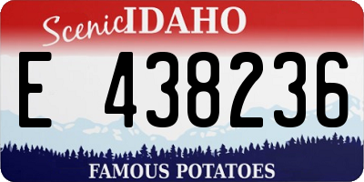ID license plate E438236