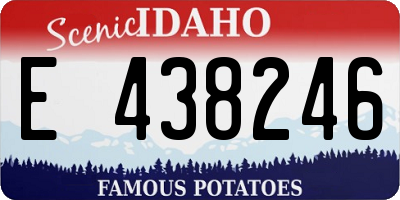 ID license plate E438246