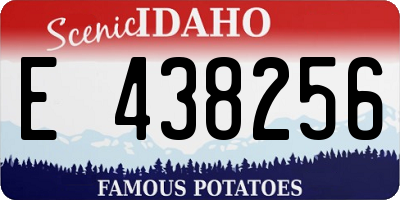ID license plate E438256