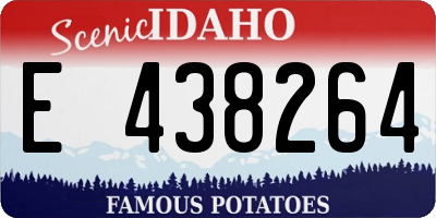 ID license plate E438264