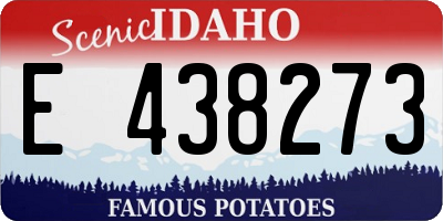 ID license plate E438273