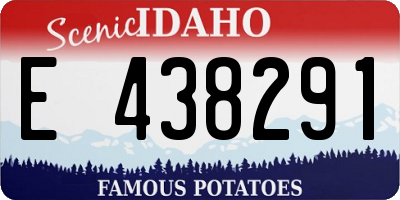ID license plate E438291