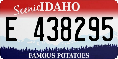 ID license plate E438295