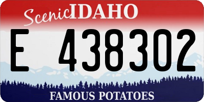 ID license plate E438302