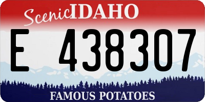 ID license plate E438307