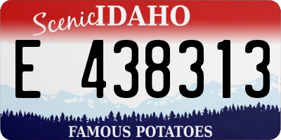ID license plate E438313