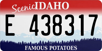 ID license plate E438317