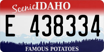 ID license plate E438334