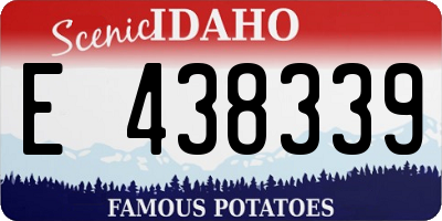 ID license plate E438339
