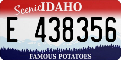 ID license plate E438356
